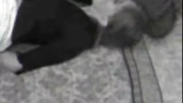 Une femme sex mer fils plus âgée veut dire partie amusante 253