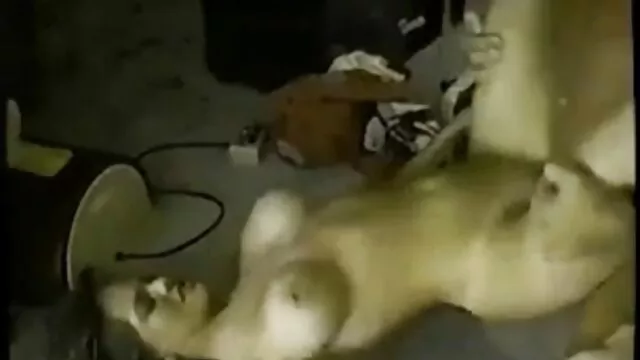 hardcore maman free porn - 13761